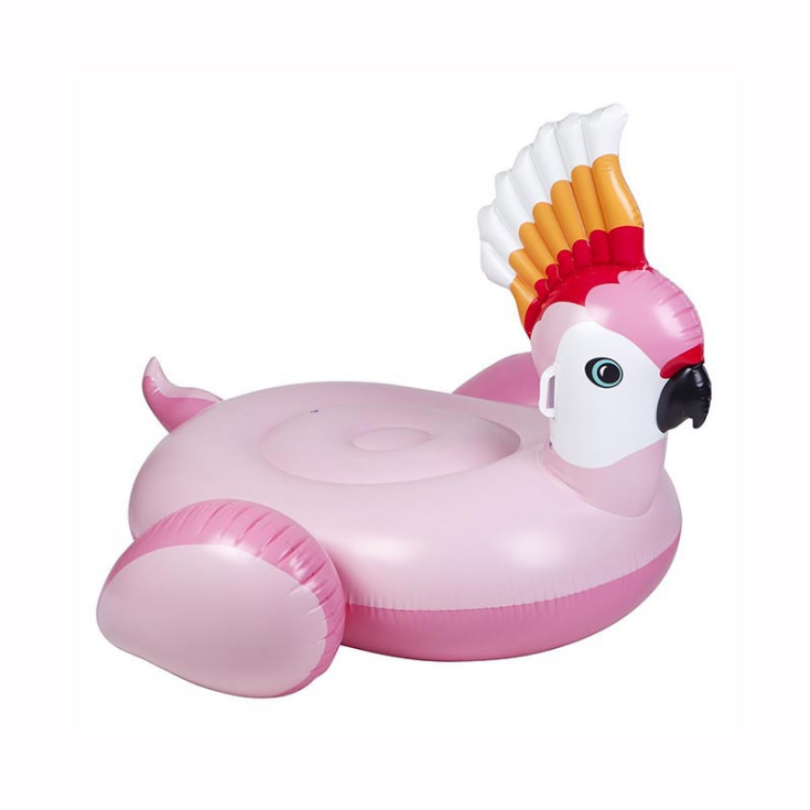 Large Inflatable Parrot Float - Resting Beach Face
